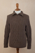 Men's 100% alpaca pullover sweater, 'Woodland Walk in Mushroom' - Brown Men's 100% Alpaca Sweater (image 2c) thumbail