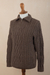 Men's 100% alpaca pullover sweater, 'Woodland Walk in Mushroom' - Brown Men's 100% Alpaca Sweater (image 2d) thumbail