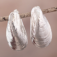 Sterling silver drop earrings, 'Choros' - Realistic Mussel Shell Earrings in Sterling Silver