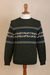 Men's 100% alpaca sweater, 'Peruvian Forest' - 100% Alpaca Men's Pullover Sweater with Geometric Design (image 2c) thumbail