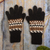100% alpaca gloves, 'Inca Mountains' - 100% Alpaca Hand Knit Gloves With Inca Inspired Pattern thumbail