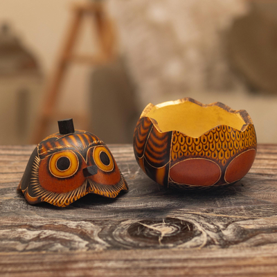Dried mate gourd decorative box, 'Owl's Wisdom' - Mate Gourd Owl Decorative Container