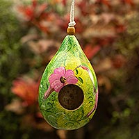 Featured review for Dried mate gourd bird house, Hummingbird Lair