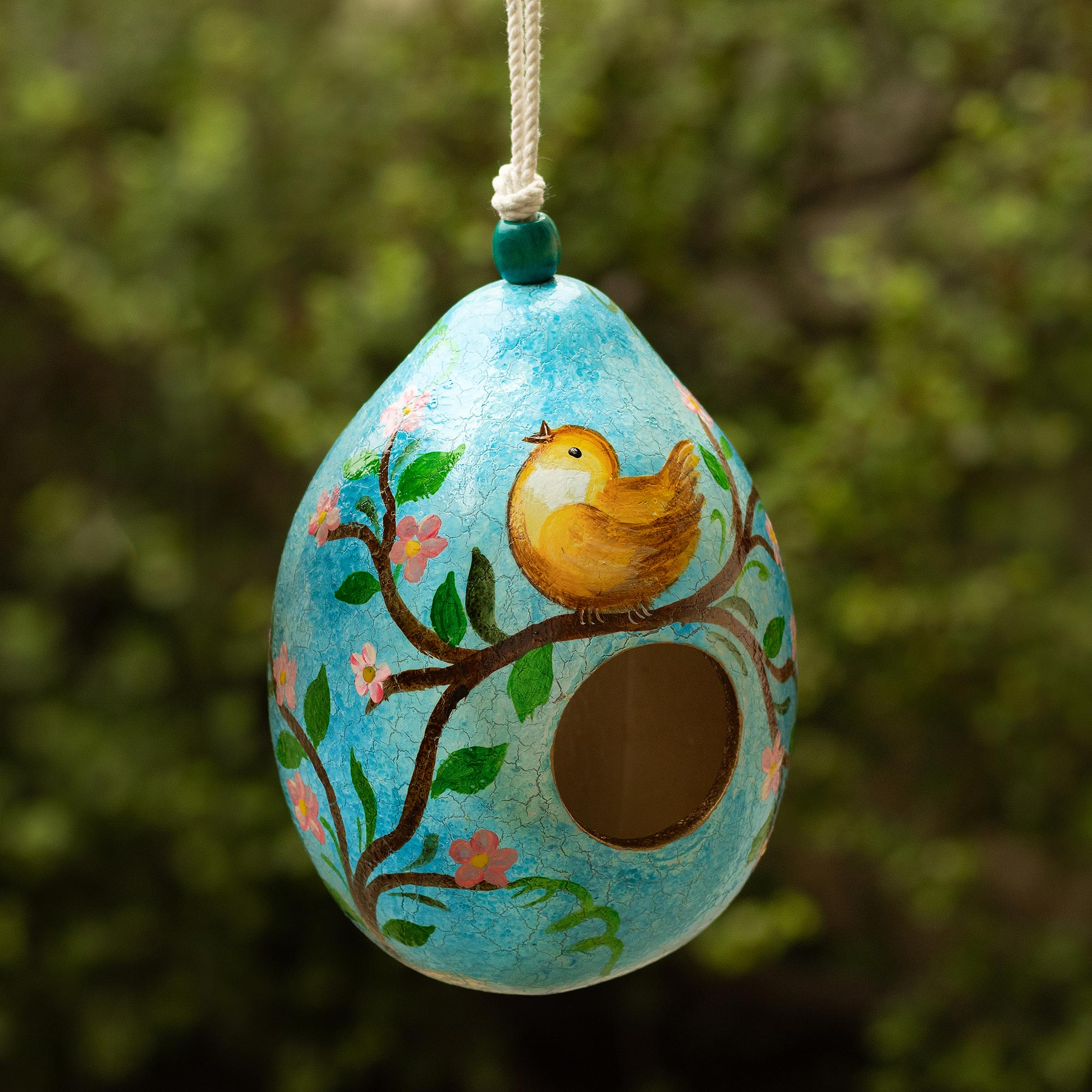 Casita para pájaros de calabaza seca azul con pájaro en un árbol en flor -  Patio del amanecer