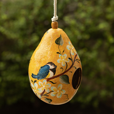 Getrocknetes Mate-Kürbis-Vogelhaus - Handbemaltes geschnittenes getrocknetes Kürbisvogelhaus aus Peru