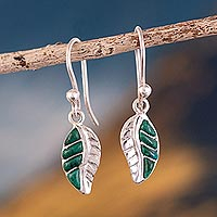 Chrysocolla dangle earrings, 'Come to Life' - Fine Silver and Chrysocolla Leaf Dangle Earrings with Hooks