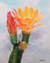 'Desert Beauty' - Realist Watercolour Painting of Cactus Flowers