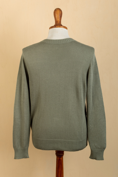 Men's cotton blend sweater, 'Comfort in Sage' - Men's Andean Cotton Blend Pullover Sweater in Green