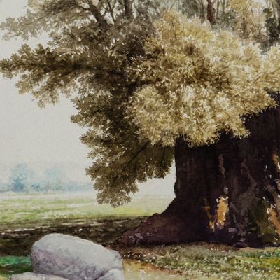 'The Olive' - Watercolour Tree Painting from Peruvian Artist