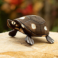 Wood sculpture, 'Rainforest Tortoise' - Handmade Wooden Tortoise from the Peruvian Amazon