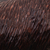 Wood sculpture, 'Winter Rhino' - Hand-Carved Cedar Wood Sculpture of Dark Brown Woolly Rhino (image 2f) thumbail