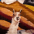 Wool tapestry, 'World Peace Llamero' - Wool Tapestry of Man with Llamas Hand-Woven in Peru (image 2c) thumbail