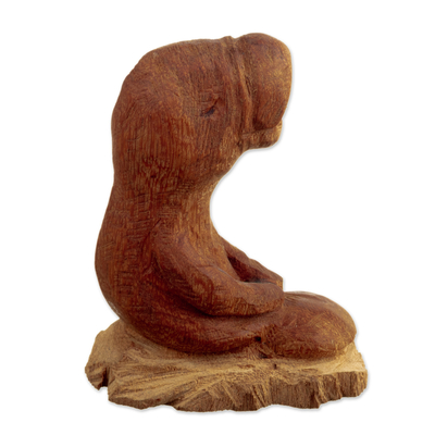 Escultura de madera - Escultura de madera de cedro tallada a mano de un manatí de Perú