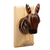Wood coat rack, 'Tropical Stripes' - Handcrafted Zebra Cedar Wood Coat Rack from Colombia