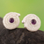 Amethyst and silver filigree drop earrings, 'Spiral Glam' - 925 Silver Filigree Drop Earrings with Amethyst Gemstones