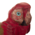 Wood figurine, 'Tropical Feathers' - Hand-Carved Cedar Wood Macaw Figurine with Painted Finish