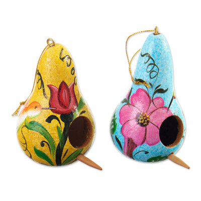 Adornos de calabaza seca (juego de 2) - Conjunto de dos adornos florales de calabaza seca amarilla y azul