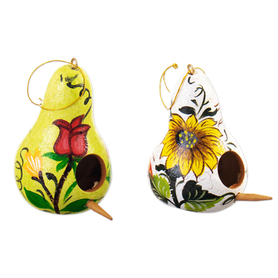 Adornos de calabaza seca (juego de 2) - Conjunto de dos adornos florales de calabaza seca blanca y amarilla