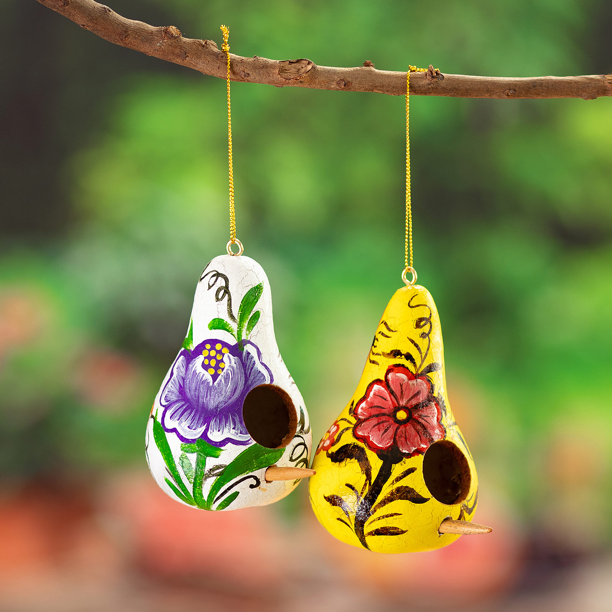 Set of 4 Dried Gourd Peacock Ornaments from Peru 'Andean Peacocks' -  Smithsonian Folklife Festival Marketplace