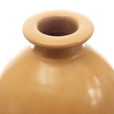 Ceramic decorative vase, 'Exquisite Earth' - Chulucanas Ceramic Decorative Vase Handmade in Peru