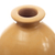 Ceramic decorative vase, 'Exquisite Earth' - Chulucanas Ceramic Decorative Vase Handmade in Peru (image 2b) thumbail