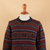 Men's 100% alpaca pullover, 'Andean Harmony' - Geometric-Patterned 100% Alpaca Pullover from Peru (image 2e) thumbail