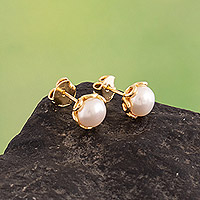 Gold-plated cultured pearl stud earrings, 'Golden Moonshine Charm'