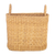 Natural fiber basket, 'Nature Tour' - Handwoven Rush Fiber Basket in a Natural Brown Hue