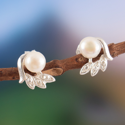 Cultured pearl button earrings, 'Embrace Freedom' - Cultured Pearl Sterling Silver Wing-Shaped Button Earrings