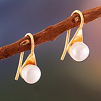 Gold-plated cultured pearl button earrings, 'Triumph Tears'