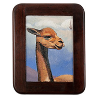 'Vicuna' - Oil on Canvas Realist Vicuna Painting with Cedarwood Frame