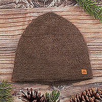 Alpaca blend knit skull cap, 'Sepia Minds' - Unisex Soft Alpaca Blend Knit Hat in Sepia Brown