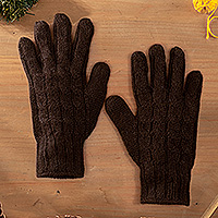 100% alpaca gloves, 'Brown Braid' - 100% Alpaca Cable Knit Gloves in Brown Shade from Peru