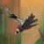 'Valley of the Condor' (2024) - Condor-Inspired Andean Landscape Oil Painting from Peru