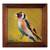 'Goldfinch' - Oil on Canvas Painting of a Goldfinch in Cedar Wood Frame