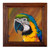 'Exotic Macaw' - Colorful Realist Oil Cockatoo Painting with Cedarwood Frame