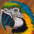 'Exotic Macaw' - Colorful Realist Oil Cockatoo Painting with Cedarwood Frame