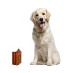 Wood retablo, 'Virgin Mary' - Painted Wood Retablo Andes Folk Art Handmade in Peru