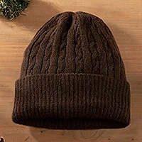 100% alpaca hat, 'Brown Mountain Roads' - Handcrafted Womens Alpaca Wool Beanie from Peru