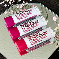 Hurraw! PLANTCOLOR Lip Color No. 2 - Organic and Vegan Tinted Lip Balm in Raspberry Shade