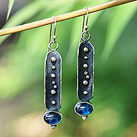 Sterling silver dangle earrings, 'Magical Fruits' - Traditional Oxidized Synthetic Sapphire Dangle Earrings