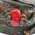 Adorno de campana de cerámica - Adorno de campana de cerámica de rana y corazón hecho a mano y pintado