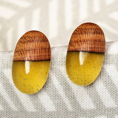 Wood and resin button earrings, 'Golden Woods' - Apricot Wood and Yellow Resin Oval Button Earrings