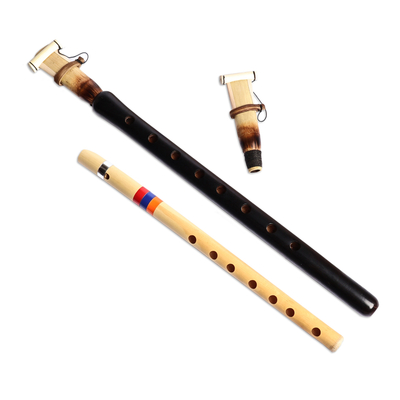 Juego de duduk y flauta de madera. - Juego de flauta y duduk de madera negra con estuche azul clásico
