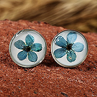 Pendientes de botón de flores naturales, 'Serene Blossom' - Pendientes de botón de flores de nomeolvides recubiertos de resina redonda