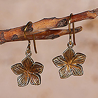 Brass dangle earrings, 'Radiant Floral Embrace' - Antique-Finished Floral-Themed Brass Dangle Earrings