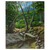 'The River in the Forest' - Impressionist Style Forest and River Oil on Canvas Painting