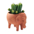 Terracotta planter, 'Elephant Garden' - Terracotta Clay Elephant Planter from India