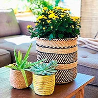 Natural fiber basket, 'Milulu Stripes' - Handwoven Natural Dyed Grass Iringa Basket from Africa