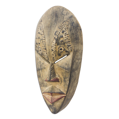 Ewe wood mask, 'Brilliant Mind' - Ewe Wood Mask